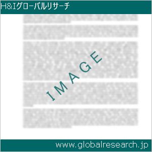 グローバルリサーチ調査レポートのイメージ
